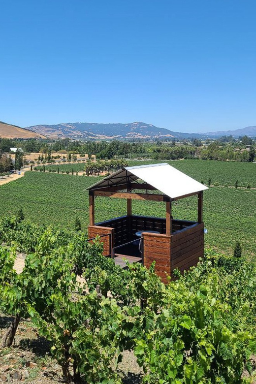 San Francisco: Half-Day Wine Tour with 2 Tastings Included - Sonoma Valley Orientation: A Quick History Moment That Helps Your Tasting
