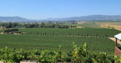 San Francisco: Half-Day Wine Tour with 2 Tastings Included - Golden Gate Bridge and Marin County Vista Point: The Best “Wow” per Minute