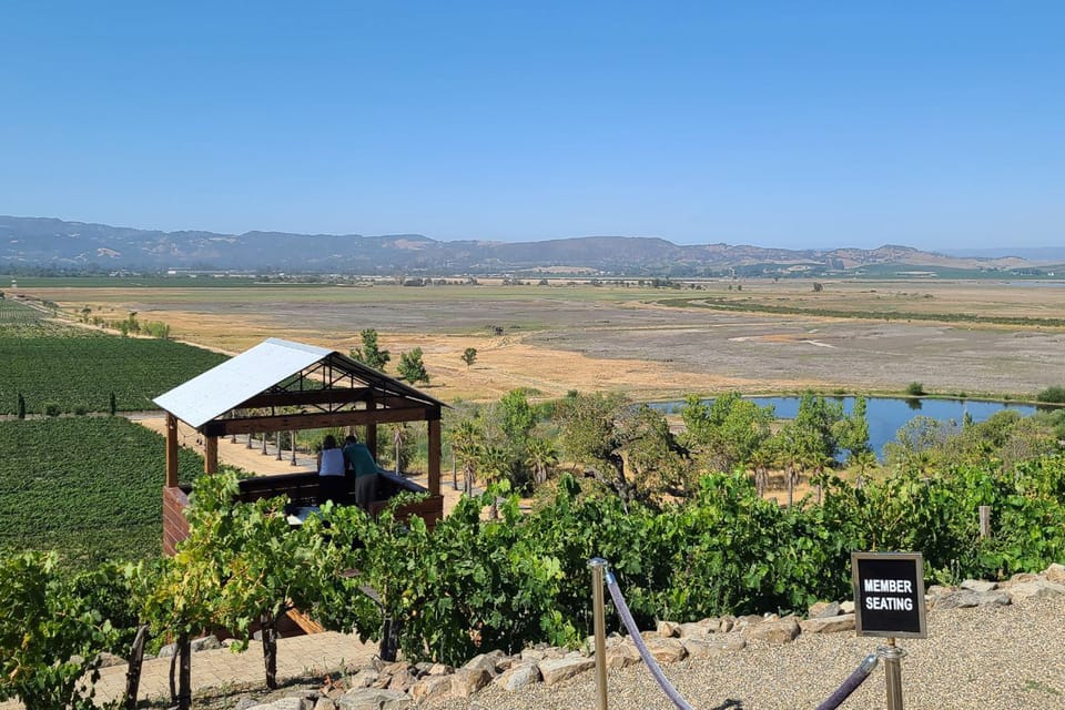 San Francisco: Half-Day Wine Tour with 2 Tastings Included - Lunch in Sonoma Plaza (or Winery Time): Choosing Your Own Pace