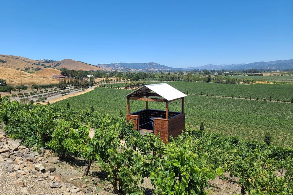 San Francisco: Half-Day Wine Tour with 2 Tastings Included - Return to San Francisco: Scenic Driving as Wind-Down Time