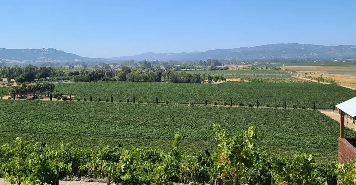San Francisco: Half-Day Wine Tour with 2 Tastings Included - Golden Gate Bridge and Marin County Vista Point: The Best “Wow” per Minute