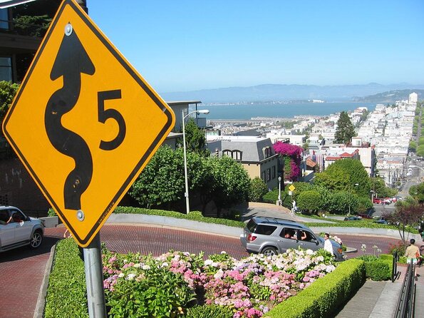 San Francisco Highlights Private 3-Hour Driving Tour - City Hall to Alamo Square: classic San Francisco, less chaos