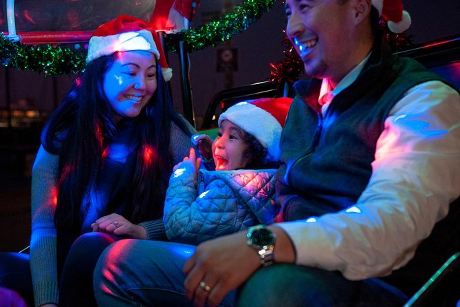 San Francisco Holiday Season Private Tour - Lucky Tuk Tuk - Union Square tree views and the reality of limited stops