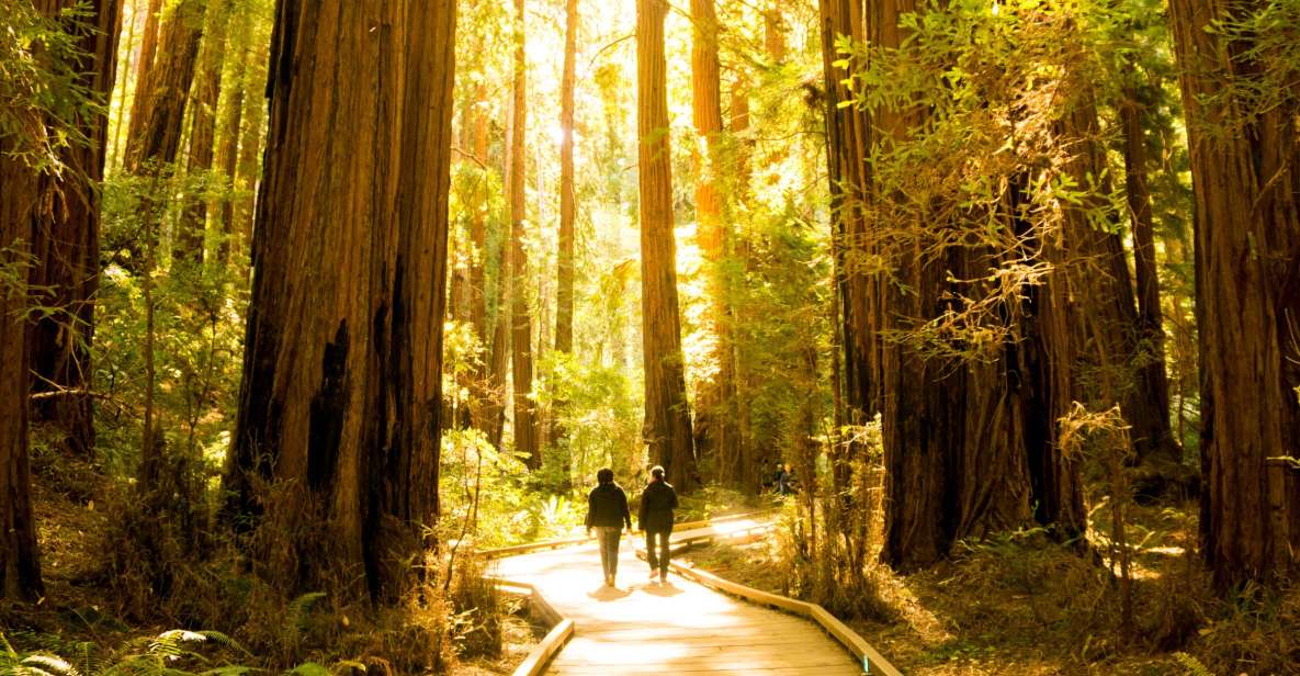 San Francisco: Hop-On Hop-Off + Muir Woods Tour - The open-top bus experience: why it feels different