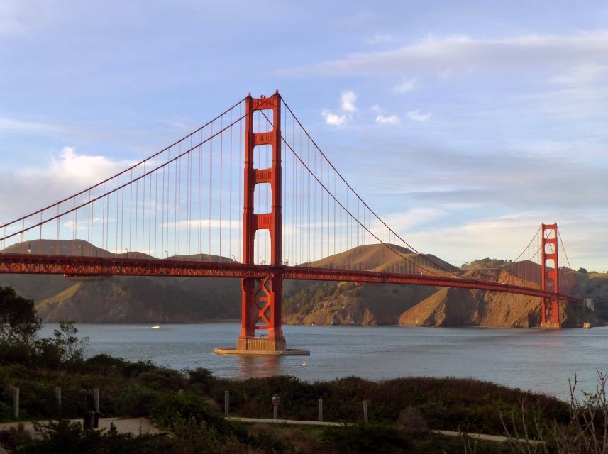 San Francisco: Hop-On Hop-Off + Muir Woods Tour - Muir Woods National Monument: giants with options