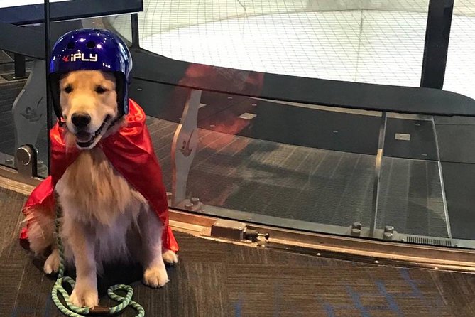 San Francisco Indoor Skydiving with 2 Flights & Personalized Certificate - Where this session shines: who will love it (and who might not)