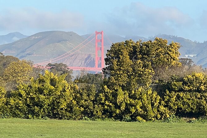 San Francisco: Major Landmarks Private Sightseeing Tour - The kinds of stops that make this tour worth it