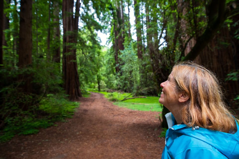 San Francisco: Morning Muir Woods & Sausalito Tour w/ Ferry - Practical tips to make the day smoother
