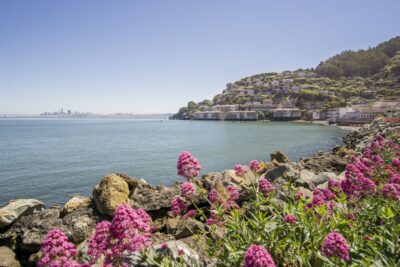 San Francisco: Muir Woods and Sausalito Experience - From Fisherman’s Wharf to the Golden Gate: What the Minibus Ride Gives You