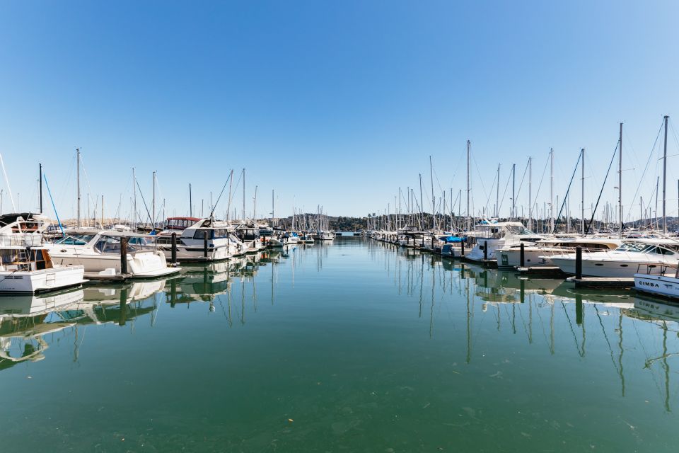 San Francisco: Muir Woods and Sausalito Small-Group Tour - A Half-Day Loop With Three Famous Stops