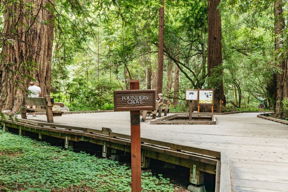 San Francisco: Muir Woods and Sausalito Small-Group Tour - Muir Woods: The Neck-Tilt Moment and How to See the Oldest Trees