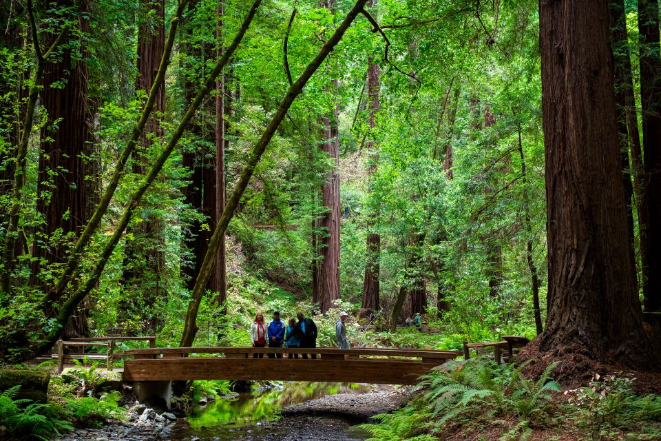 San Francisco: Muir Woods and Sausalito Tour with Admission - Price and Value: What You’re Really Paying For at $89