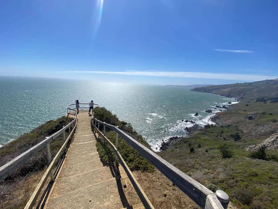 San Francisco: Muir Woods Giant Redwoods & City Private Tour - Marin coastline at Muir Beach: a quick Pacific reset