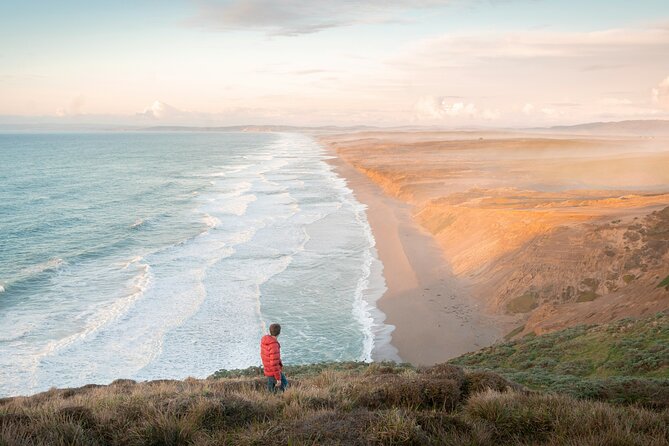 San Francisco Muir Woods, Point Reyes and Meadery Tour - Key highlights to know before you go