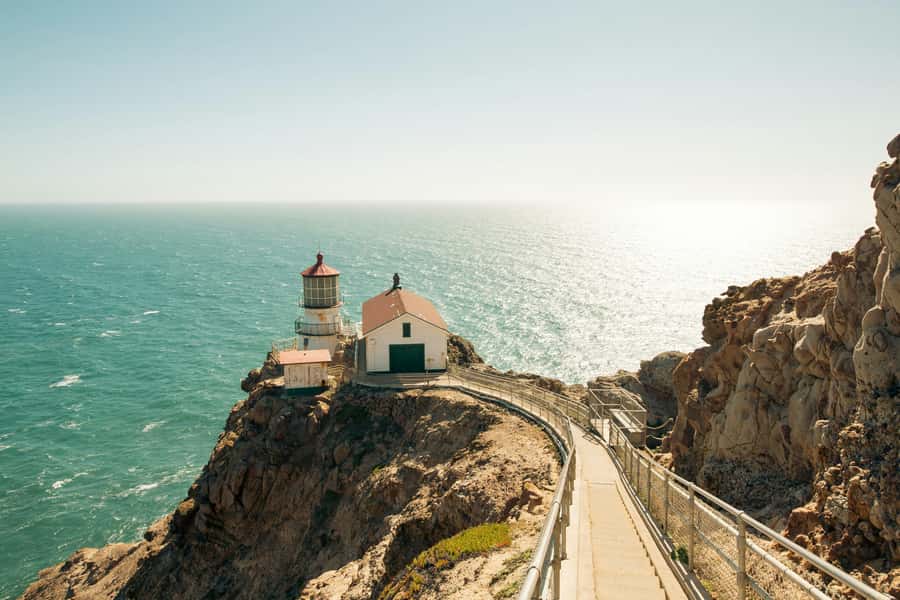 San Francisco: Muir Woods, Point Reyes, and Meadery Tour - Muir Woods: Ancient Coastal Redwoods on Shaded Trails