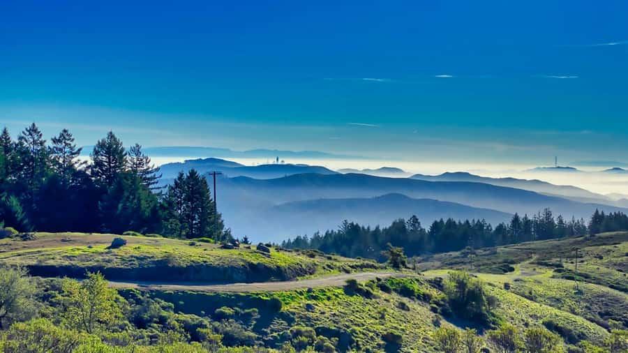 San Francisco: Muir Woods, Point Reyes, and Meadery Tour - Transportation and Timing: The Real Value of “Handled for You”