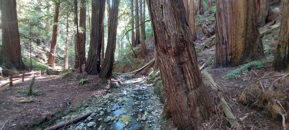San Francisco: Muir Woods, Sausalito, & Alcatraz Night Tour - What to Bring for a Cold, Windy Alcatraz Night