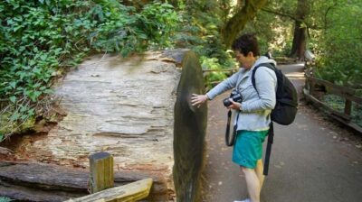 San Francisco: Muir Woods Tour & Golden Gate Bay Cruise - The mini-bus ride across the Golden Gate Bridge