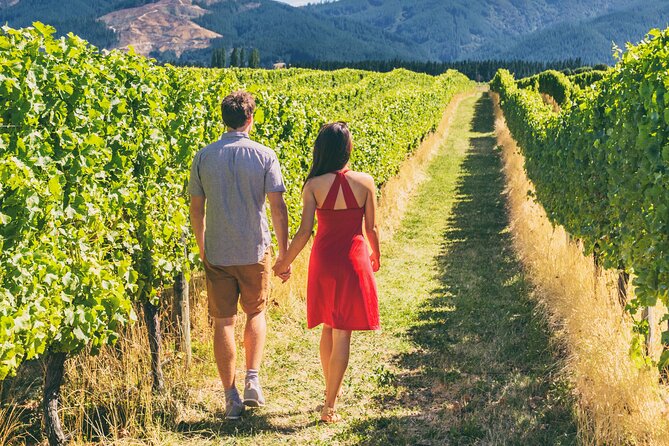 San Francisco: Napa & Sonoma Wine Tour & 24hr Hop-on Hop-off Tour - Key points to know before you go