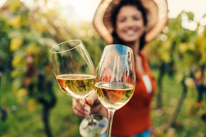 San Francisco: Napa & Sonoma Wine Tour & 24hr Hop-on Hop-off Tour - A one-day combo: Napa wineries plus a 24-hour SF sights bus
