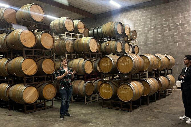 San Francisco: Napa & Sonoma Wine Tour & 24hr Hop-on Hop-off Tour - Marina, Cow Hollow, and Lombard Street: finishing with views and sea air