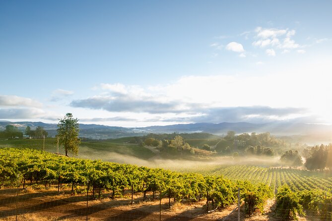 San Francisco: Napa & Sonoma Wine Tour & 24hr Hop-on Hop-off Tour - Meeting at 99 Jefferson St: where the day starts and how to plan around it