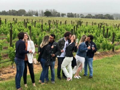 San Francisco: Napa Valley Half-Day Wine Tour with Tastings - Getting your bearings in Napa: how the tour sets up tasting