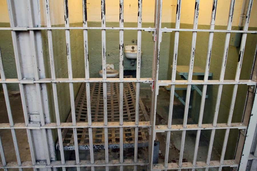 San Francisco: Private Alcatraz & City Tour Combo - Things to watch for: photo stops, ferry timing, and your expectations