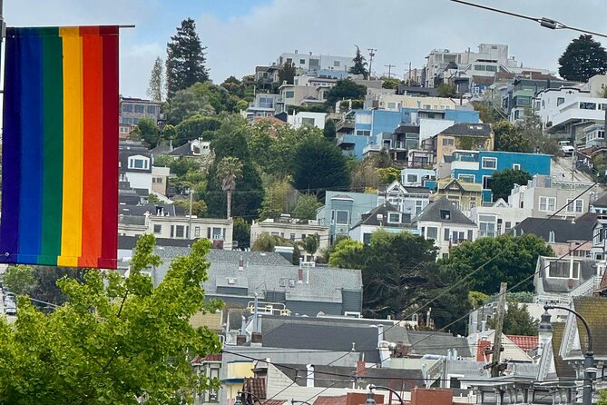 San Francisco Private City Tour in New EV Volkswagen Van - Lands End lookout, city parks, and the Summer of Love era