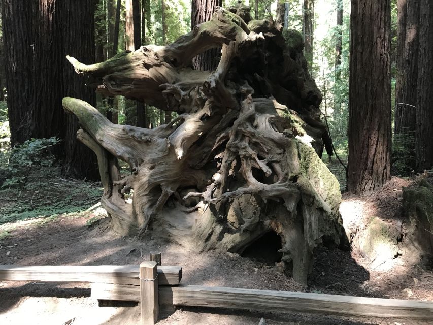 San Francisco: Private Muir Woods and Sausalito Tour - The Timing Twist: Parking Reservations Shape Your Start