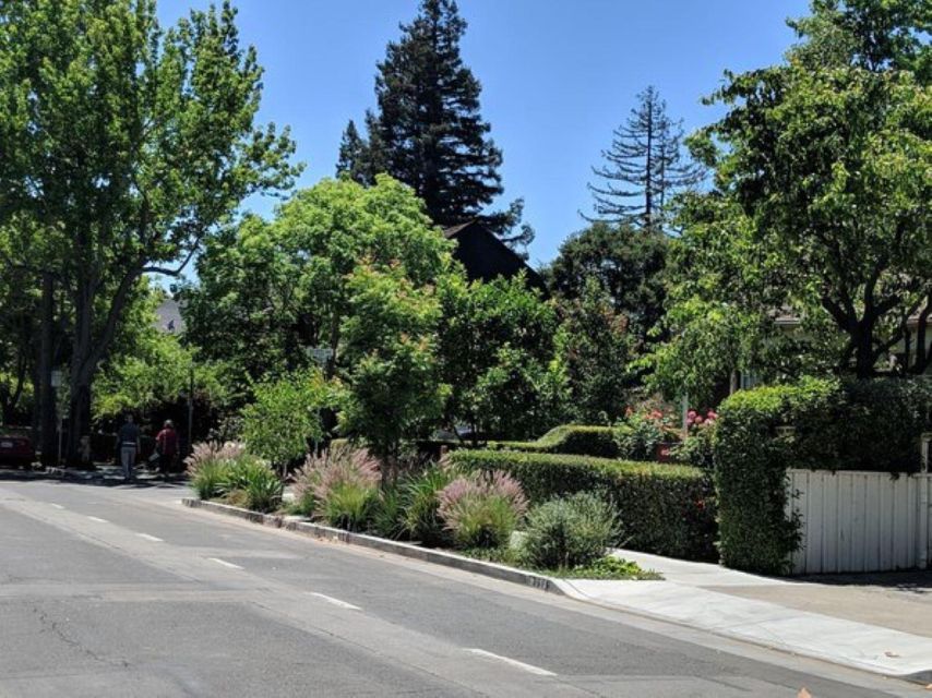 San Francisco: Silicon Valley Private Tour with Transfers - Practical expectations: timing, comfort, and mobility