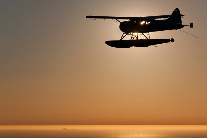 San Francisco Sunset Champagne Seaplane Tour - Why a Sausalito seaplane ride is the quickest way to see the city from above