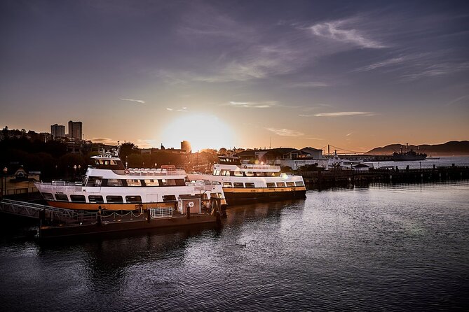 San Francisco Sunset Cruise - Sea Lions to Skyline: Angel Island, Sausalito, and Tiburon From the Water