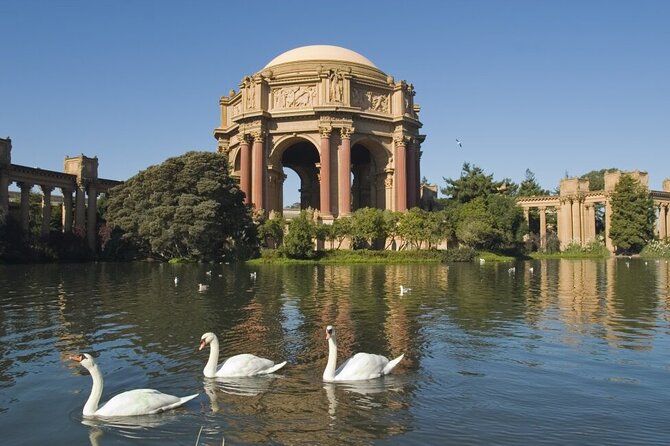 San Francisco: Surrey Ride Along the Scenic Marina Waterfront - The $35 value: why the price feels fair for what you get