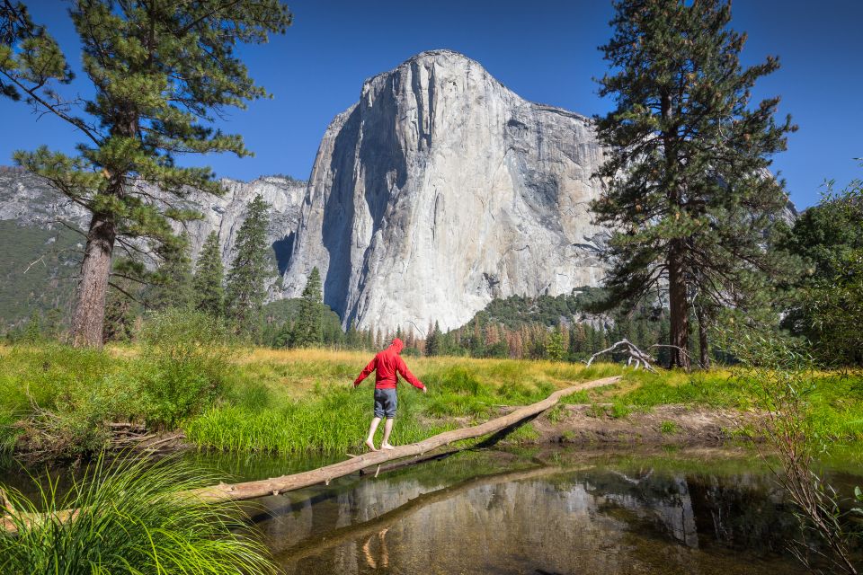 San Francisco to/from Yosemite National Park: 1-Way Transfer - Quick hits: what makes this transfer work so well