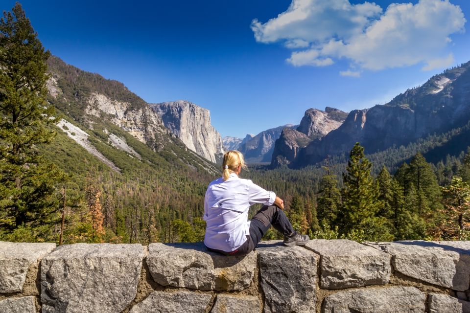 San Francisco to/from Yosemite National Park: 1-Way Transfer - Photo stops at Yosemite icons: what to expect