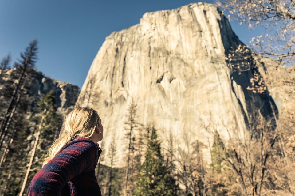San Francisco to/from Yosemite National Park: 1-Way Transfer - Yosemite Valley time: hiking, biking, and what changes in winter