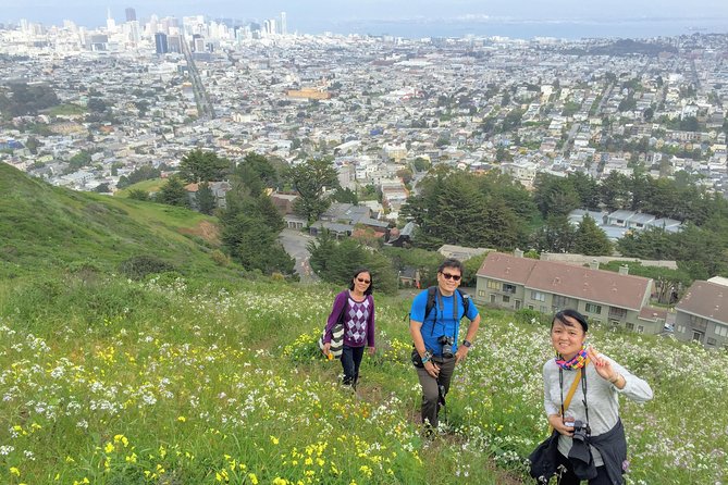 San Francisco Urban Hike: Castro and Twin Peaks - Key highlights at a glance