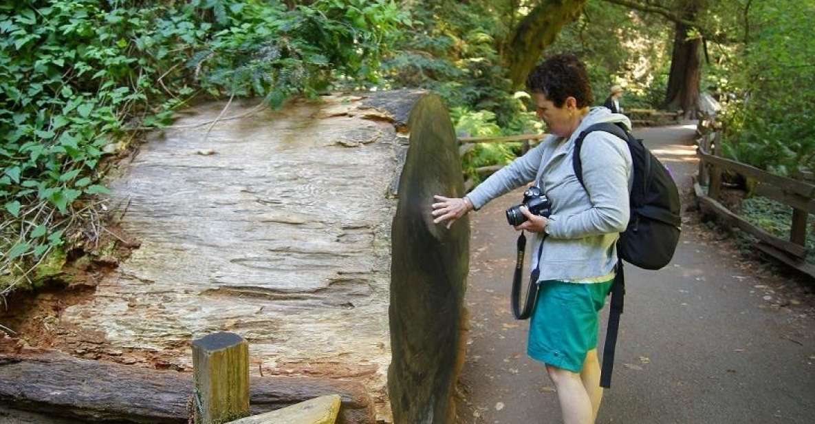 SF: Guided Muir Woods Tour & Hop-On Hop-Off Tour (Save 15%) - Key highlights to know before you go