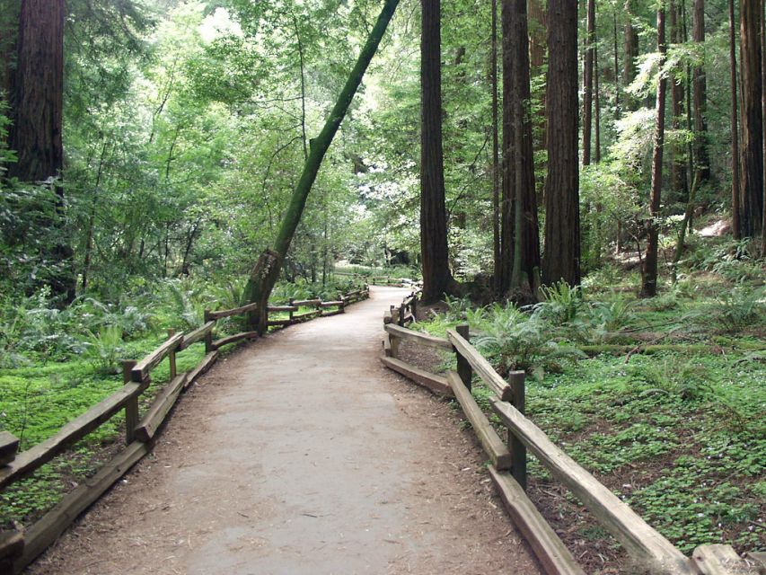 SF: Guided Muir Woods Tour & Hop-On Hop-Off Tour (Save 15%) - Sausalito stop: a short break with real scenery value