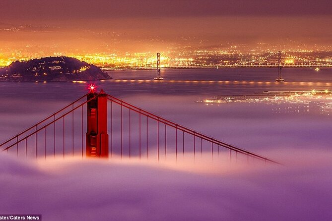 SFO Pick-Up with City Sightseeing Tour - Price and Value: What You Get for $385