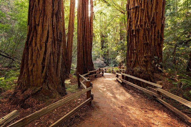 Shore Excursion from SF: Guided Tour to Muir Woods and Sausalito - Key highlights at a glance