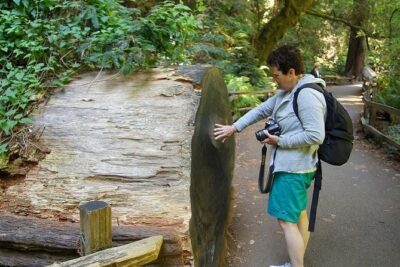 Shore Excursion from SF: Guided Tour to Muir Woods and Sausalito - Muir Woods National Monument: 1.5 hours under 1,000-year-old giants