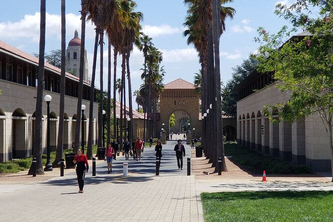 SUV Tour To Silicon Valley Including Stanford Walking Tour - Google campus photos and the Android lawn statues