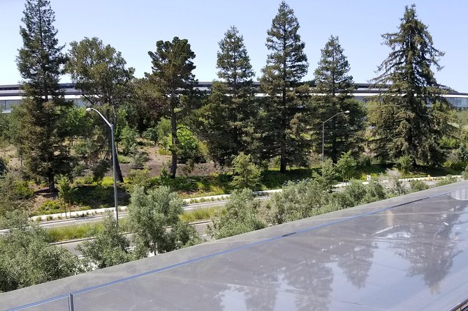 SUV Tour To Silicon Valley Including Stanford Walking Tour - Apple Visitor Center and the Observation Deck views