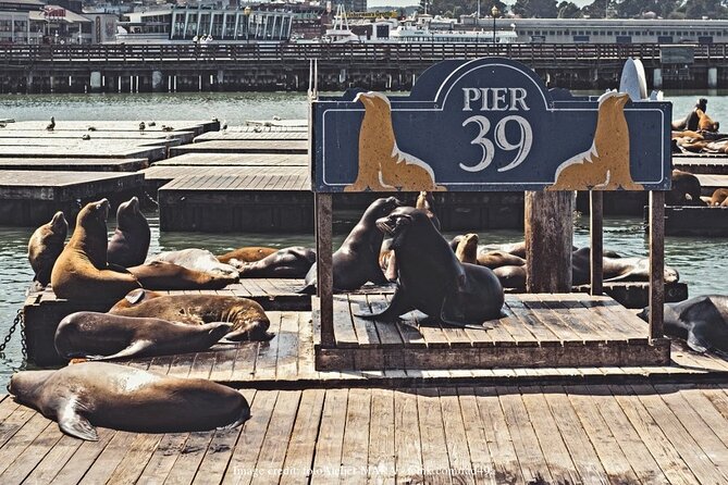 The Best of San Francisco: Private Half-Day Walking Tour - Stop 6: Fisherman’s Wharf Views, Alcatraz/Angel Island Sightlines, and Seals