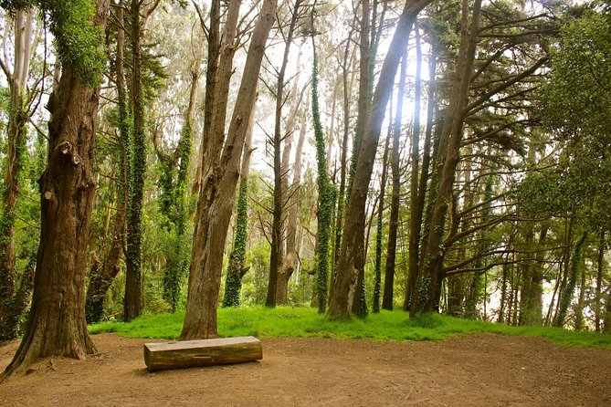The Presidio: Main Post to the Golden Gate Bridge - Ecology Trail: eucalyptus, cypress, and redwoods when you want a reset