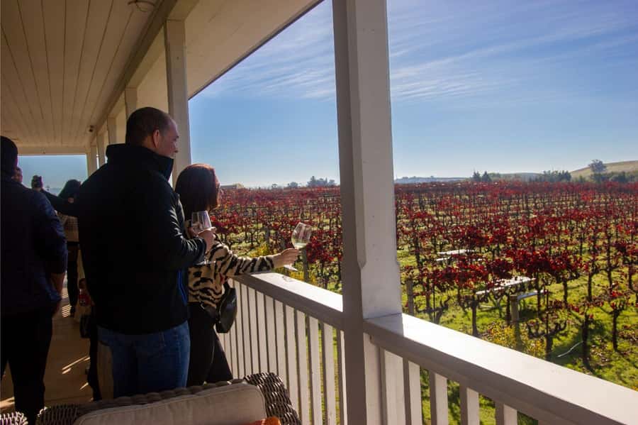 The Ultimate Napa & Sonoma Wine Tour - Golden Gate Bridge Photo Stop: Quick views, good timing, no rushing