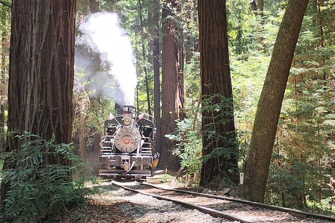 Train Ride Adventure through Mother Natures Giant Redwoods Park - Santa Cruz bird-chasing stop: a fast hit of wild nature