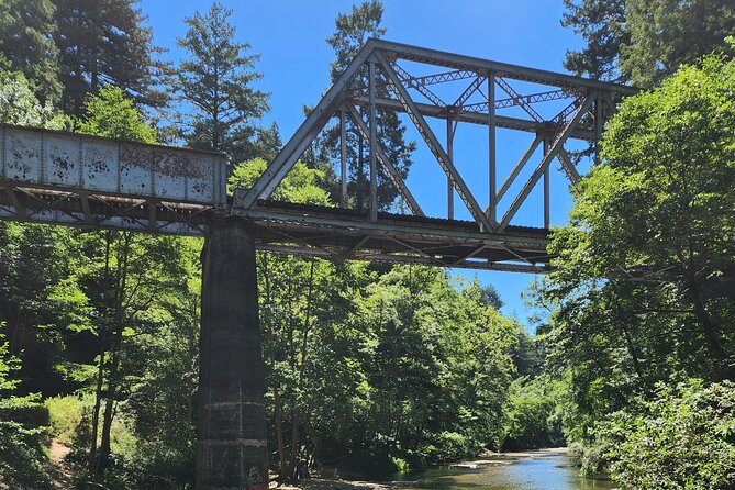 Train Ride Adventure through Mother Natures Giant Redwoods Park - Henry Cowell State Park: giant redwoods and a 2,000-year time shift